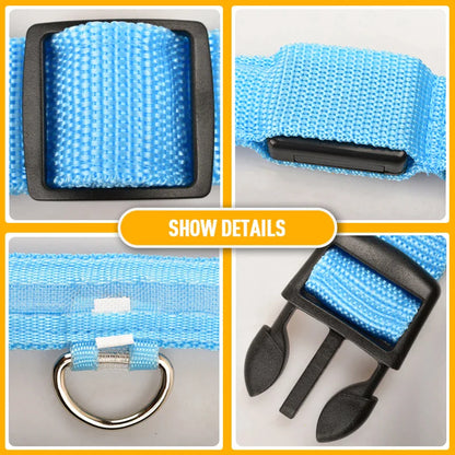 Glowing Safety LED Dog Collar