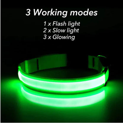 Glowing Safety LED Dog Collar